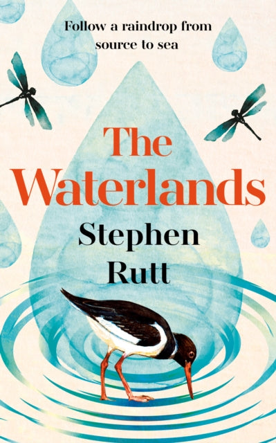 The Waterlands : Follow a Raindrop from Source to Sea - 9781783969319