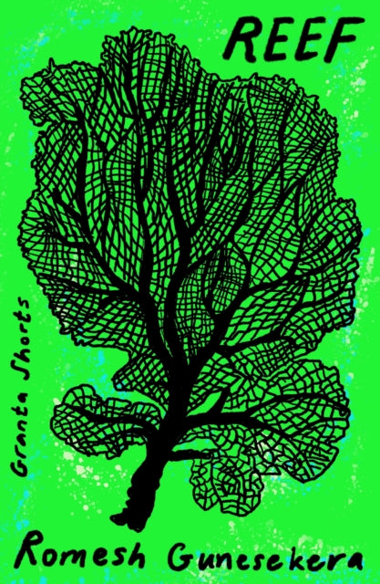 Reef - 9781803513584