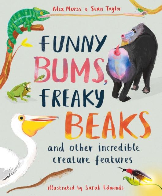 Funny Bums, Freaky Beaks : and Other Incredible Creature Features - 9781913519049