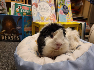 Storytelling 22nd September 2023 - 3pm