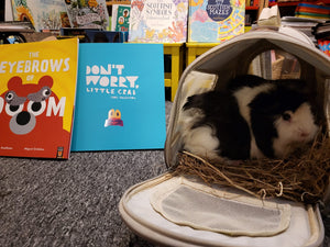 Storytelling 29th September 2023 - 3pm