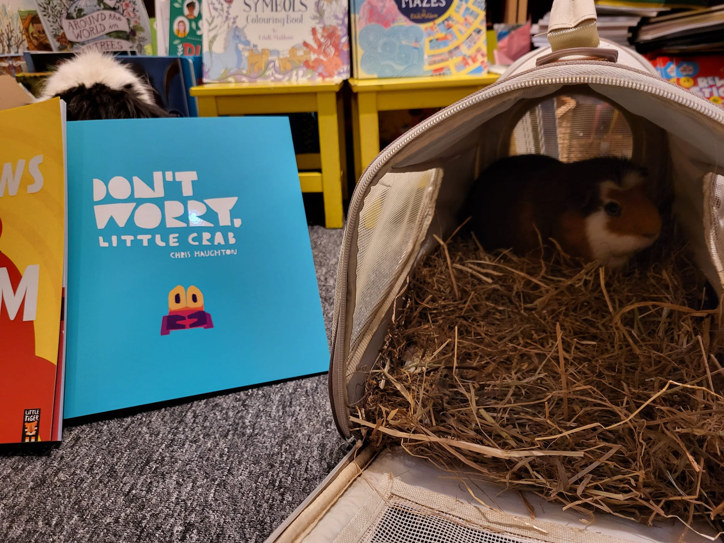 Friday Storytelling 22nd March - 2pm