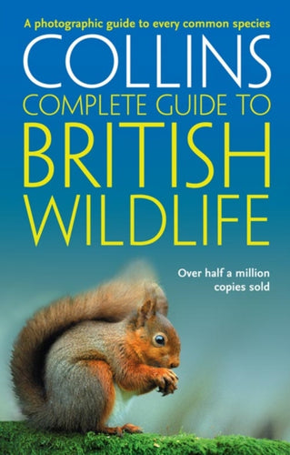 British Wildlife : A Photographic Guide to Every Common Species - 9780007236831