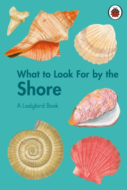 What to Look For by the Shore - 9780241626139