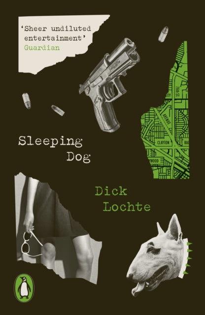 Sleeping Dog - 9780241656921