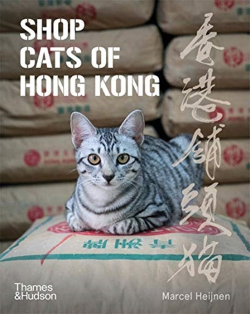 Shop Cats of Hong Kong - 9780500296233