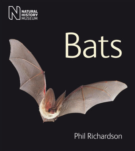 Bats - 9780565092757