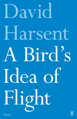 A Bird's Idea of Flight - 9780571330072