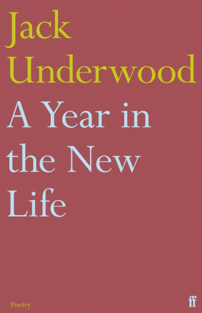 A Year in the New Life - 9780571367252