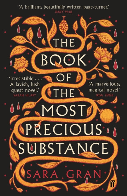 The Book of the Most Precious Substance : Discover this year’s most spellbinding quest novel - 9780571375622