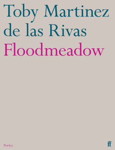 Floodmeadow - 9780571376438