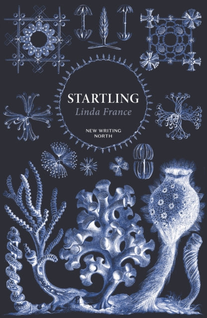Startling - 9780571379026