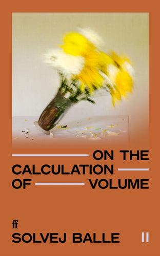 On the Calculation of Volume II : 'Impossible to put down.' Kate Briggs - 9780571383405
