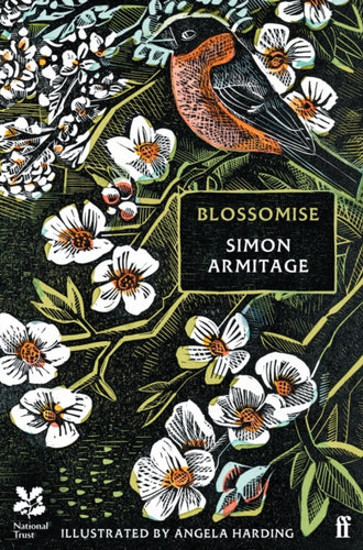 Blossomise-9780571388417