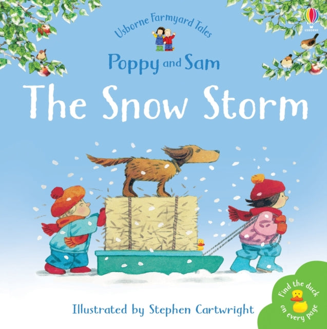 The Snow Storm - 9780746063118