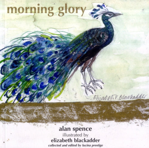 Morning Glory - 9780954396121