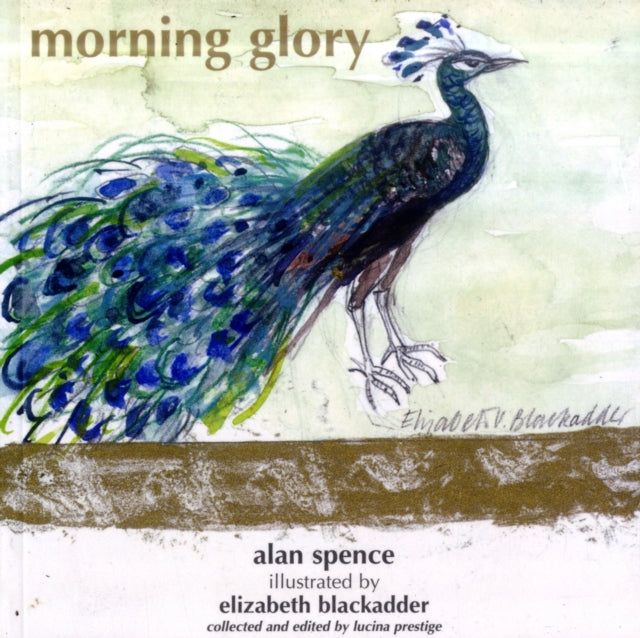 Morning Glory - 9780954396121