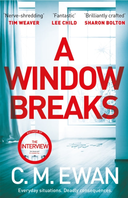 A Window Breaks - 9781035002351