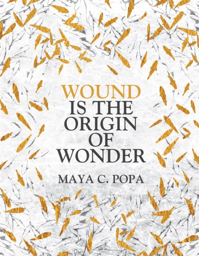 Wound is the Origin of Wonder - 9781035017386