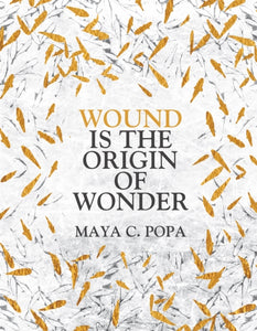 Wound is the Origin of Wonder - 9781035017386