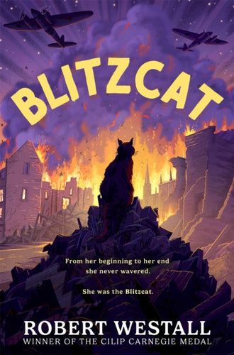 Blitzcat - 9781035058334