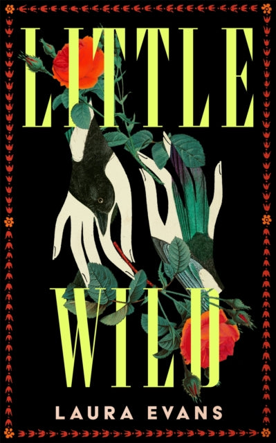 Little Wild - 9781035073061