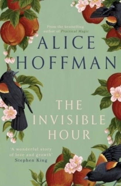 The Invisible Hour - 9781398526211