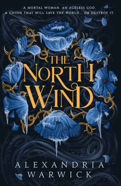 The North Wind : The TikTok sensation! An enthralling enemies-to-lovers romantasy, the first in the Four Winds series Volume 1 - 9781398532526