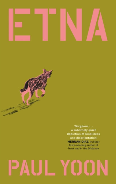 Etna : 'Devastating and gorgeous' New York Times - 9781398559202