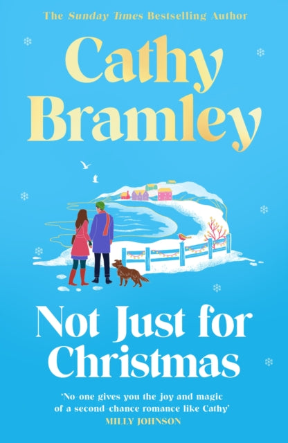 Not Just for Christmas : The must-read and utterly heartwarming festive romance coming this Christmas! - 9781398713994