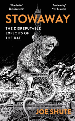 Stowaway : The Disreputable Exploits of the Rat – A NEW SCIENTIST NON-FICTION BOOK OF THE YEAR - 9781399402514
