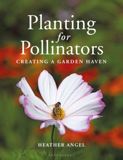 Planting for Pollinators : Creating a Garden Haven - 9781399403023
