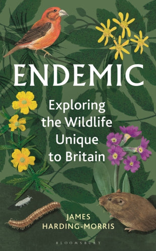 Endemic : Exploring the wildlife unique to Britain - 9781399405676