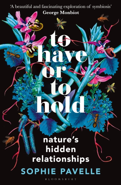 To Have or To Hold : Nature's Hidden Relationships - 9781399412162