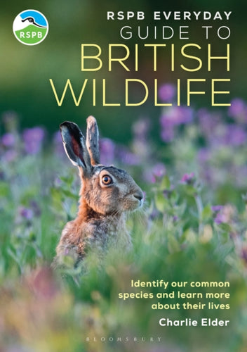 RSPB Everyday Guide to British Wildlife : Identify our common species and learn more about their lives - 9781399413329