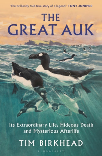 The Great Auk : Its Extraordinary Life, Hideous Death and Mysterious Afterlife - 9781399415743
