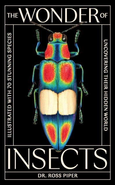 The Wonder of Insects: Uncovering their Hidden World : Fully Illustrated with 70 Stunning Species - 9781399625715