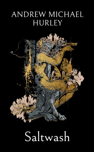 Saltwash : The chilling new novel from the 'master of menace' - 9781399817530