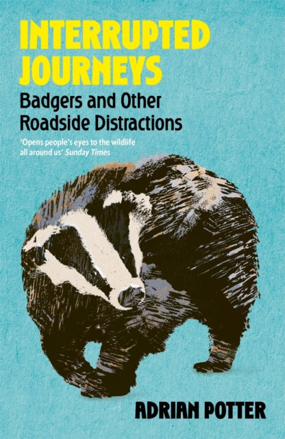 Interrupted Journeys : Badgers and Other Roadside Distractions - 9781399822411