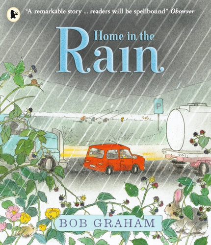 Home in the Rain - 9781406379785