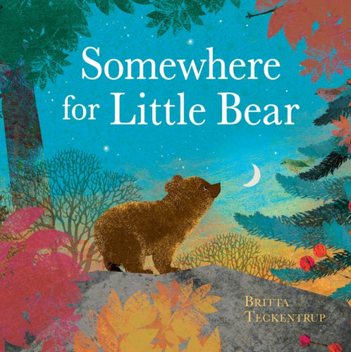 Somewhere for Little Bear - 9781408359723