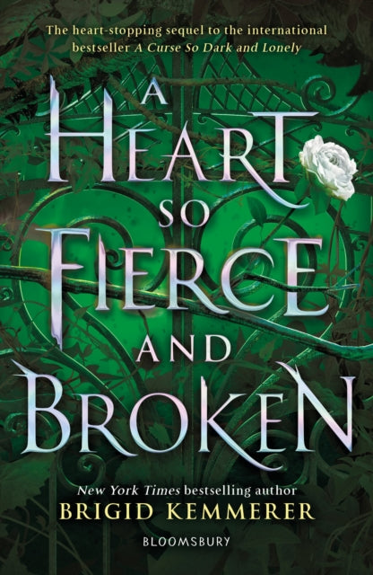 A Heart So Fierce and Broken - 9781408885086