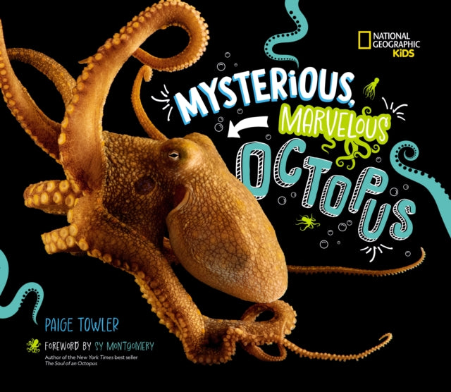 Mysterious, Marvelous Octopus! - 9781426376672