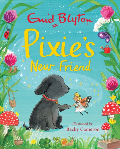 Pixie's New Friend - 9781444949520