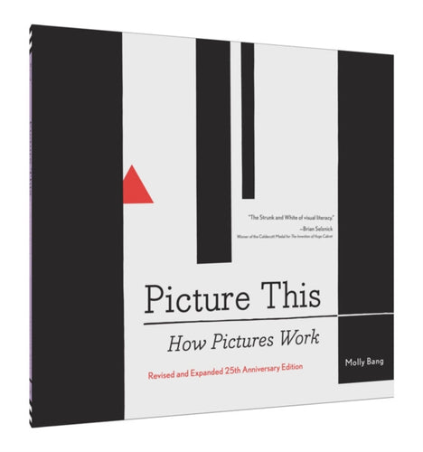 Picture This: How Pictures Work - 9781452151991