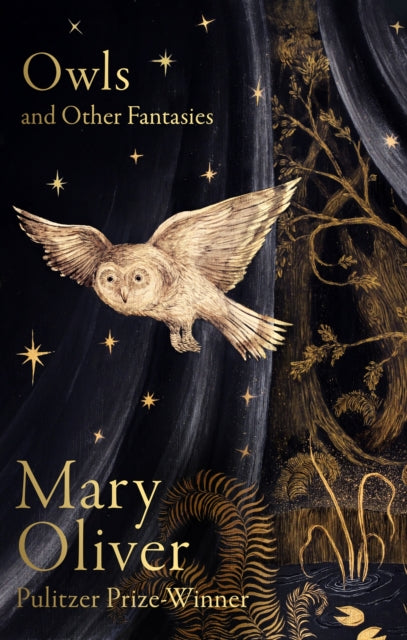 Owls and Other Fantasies - 9781472160935