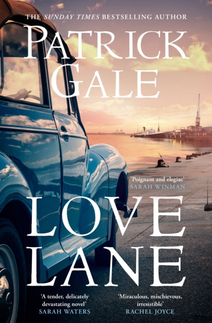 Love Lane : A searing portrayal of escape and the power of love, home and a family - 9781472257468