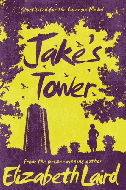 Jake's Tower - 9781509826711