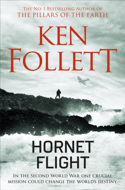 Hornet Flight - 9781509865437