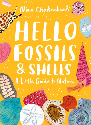 Little Guides to Nature: Hello Fossils and Shells - 9781510230514